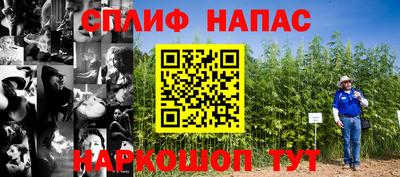 СК Ливны