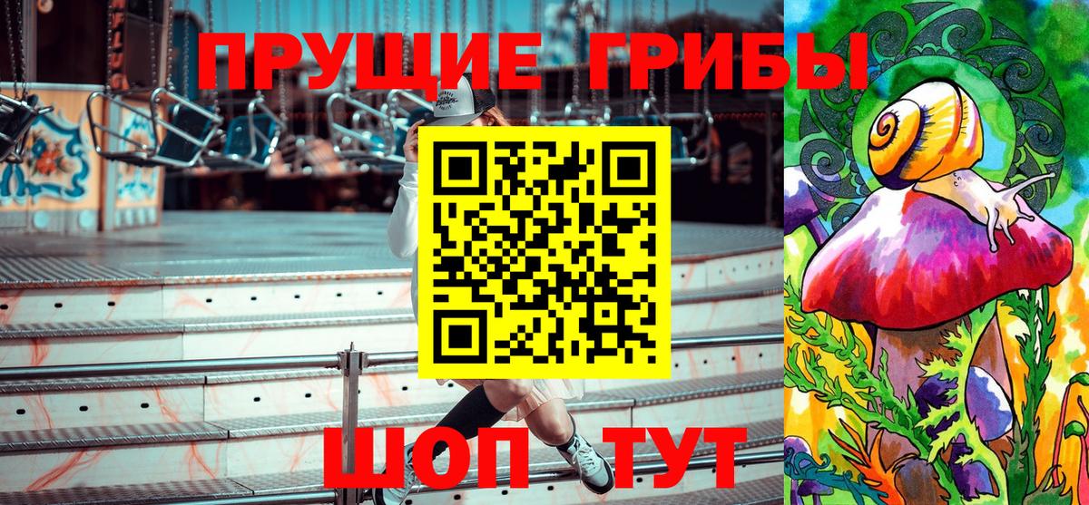 Гудермес  Псилоцибиновые грибы GOLDEN TEACHER  Вход с VPN 